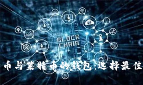 全面解析支持比特币与莱特币的钱包：选择最佳数字货币存储方案