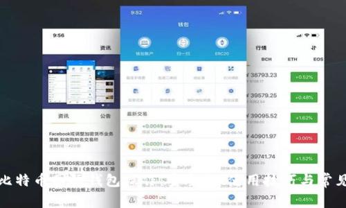 全面解析比特币国际钱包操作：安全性、使用技巧与常见问题解答