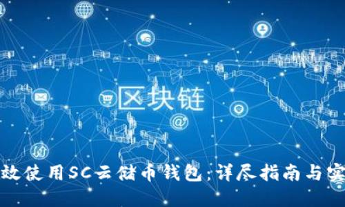 如何高效使用SC云储币钱包：详尽指南与实用技巧