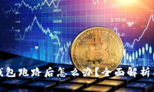 IMTOKEN钱包跑路后怎么办？全面解析及应对措施