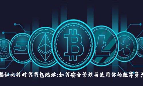 揭秘比特时代钱包地址：如何安全管理与使用你的数字资产