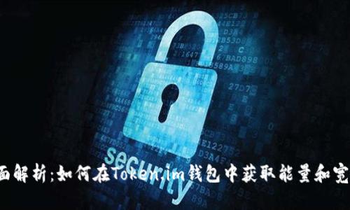 全面解析：如何在Token.im钱包中获取能量和宽带？