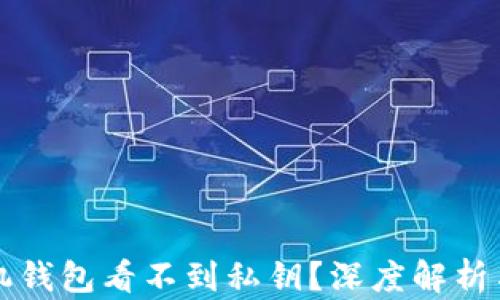 
为什么手机钱包看不到私钥？深度解析与安全隐私