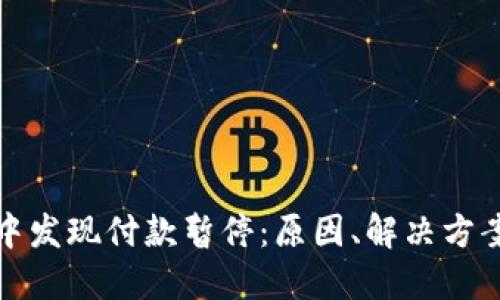 在数字钱包中发现付款暂停：原因、解决方案与安全提示