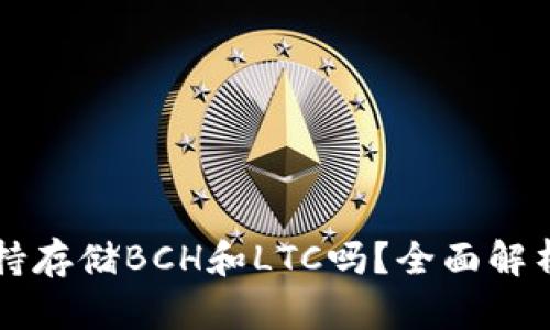 Token.im支持存储BCH和LTC吗？全面解析与用户指南