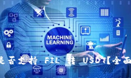Token.im 是否支持 FIL 转 USDT？全面解析与指导