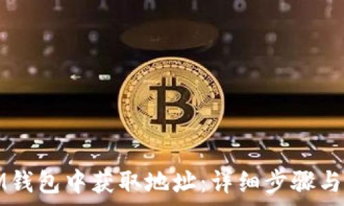   
如何在IM钱包中获取地址：详细步骤与注意事项