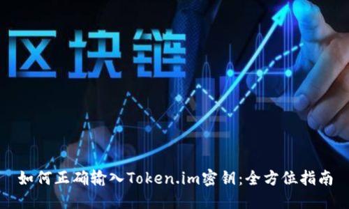 如何正确输入Token.im密钥：全方位指南